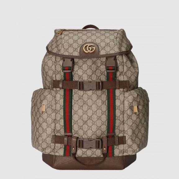 Web GG Skateboard Backpack 690999