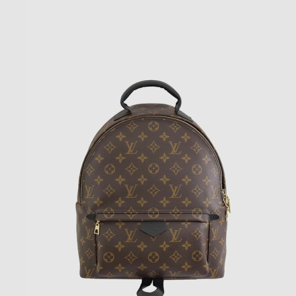 Louis Vuitton Monogram Palmsprings MM M41561