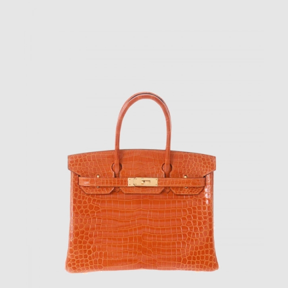 Birkin Bag Crocker