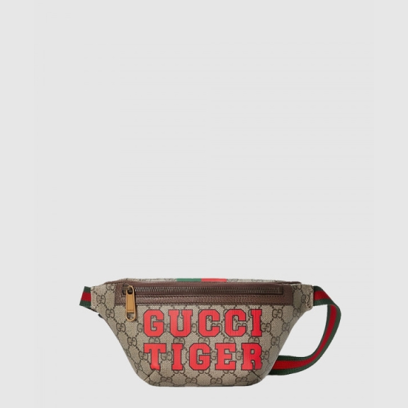 Vestriere Belt Bag 675181