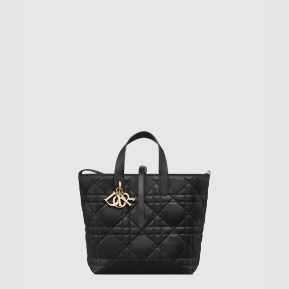 Dior Toujours Medium Vertical Tote Bag M2836