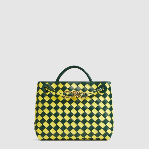Bottega Veneta Small Andiamo 779152