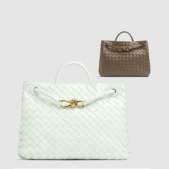 Bottega Veneta Medium Andiamo 743572