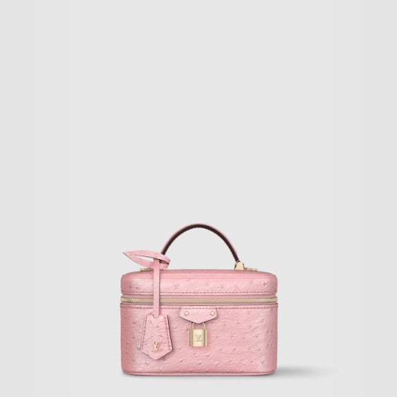 Louis Vuitton Vanity Chain Pouch N85820