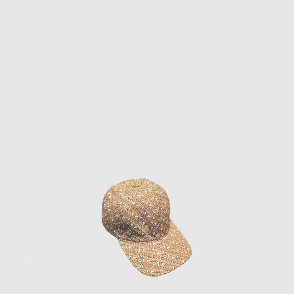 Baseball Cap 8062457