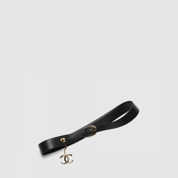 Logo Pin Buckle Belt AA9163