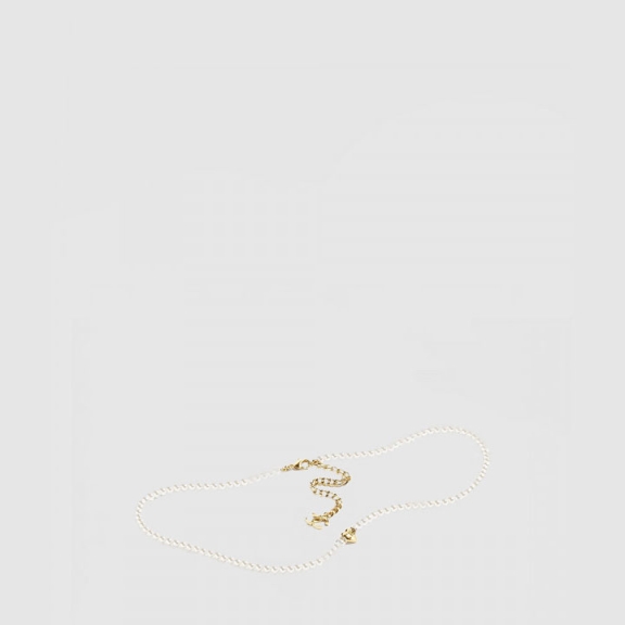 Chain Belt ABD087