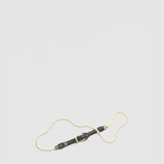 Chain Belt AA9685