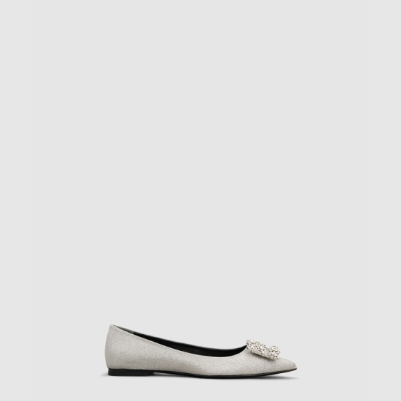 Roger Vivier Ballerina Flat Shoes 3131