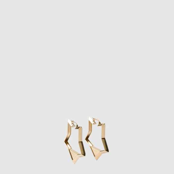 Metal Earrings 1IO147