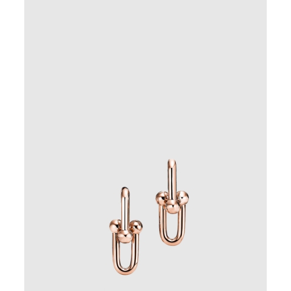 Large Link Earrings
