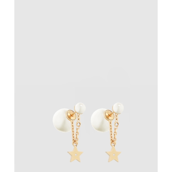 Dior Tribales Earrings E1894