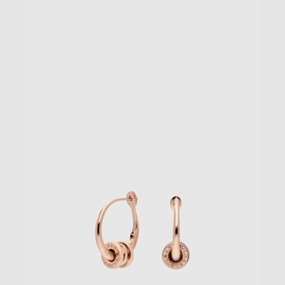 Earrings 355007