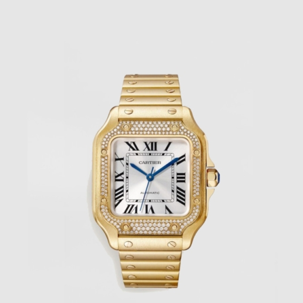 Cartier Santos de Cartier 35.1 WJSA0010