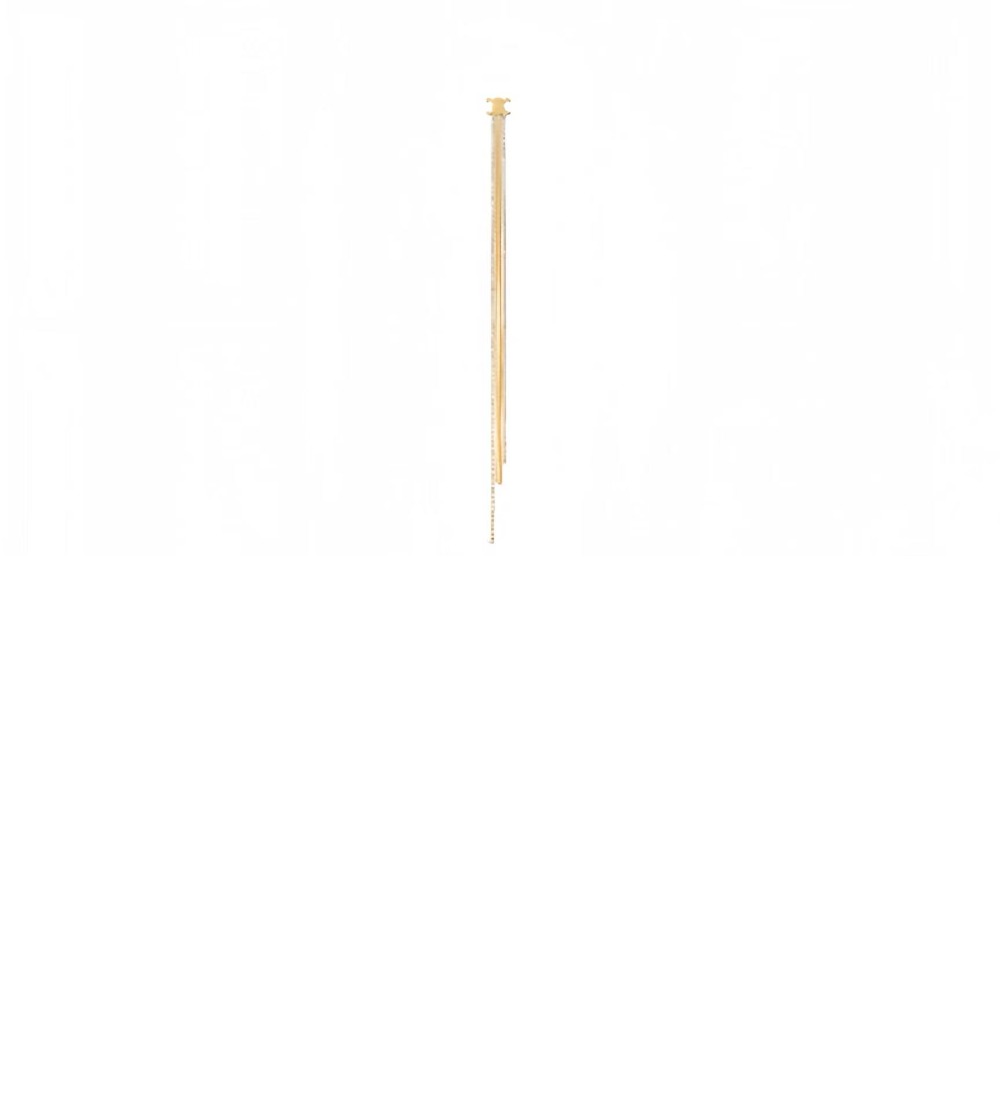 Product detail image 1